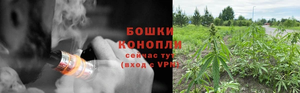PSILOCYBIN Пролетарск