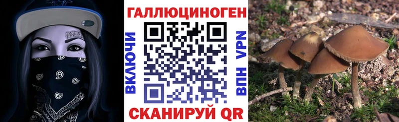 что такое   Кириллов  Галлюциногенные грибы мухоморы 